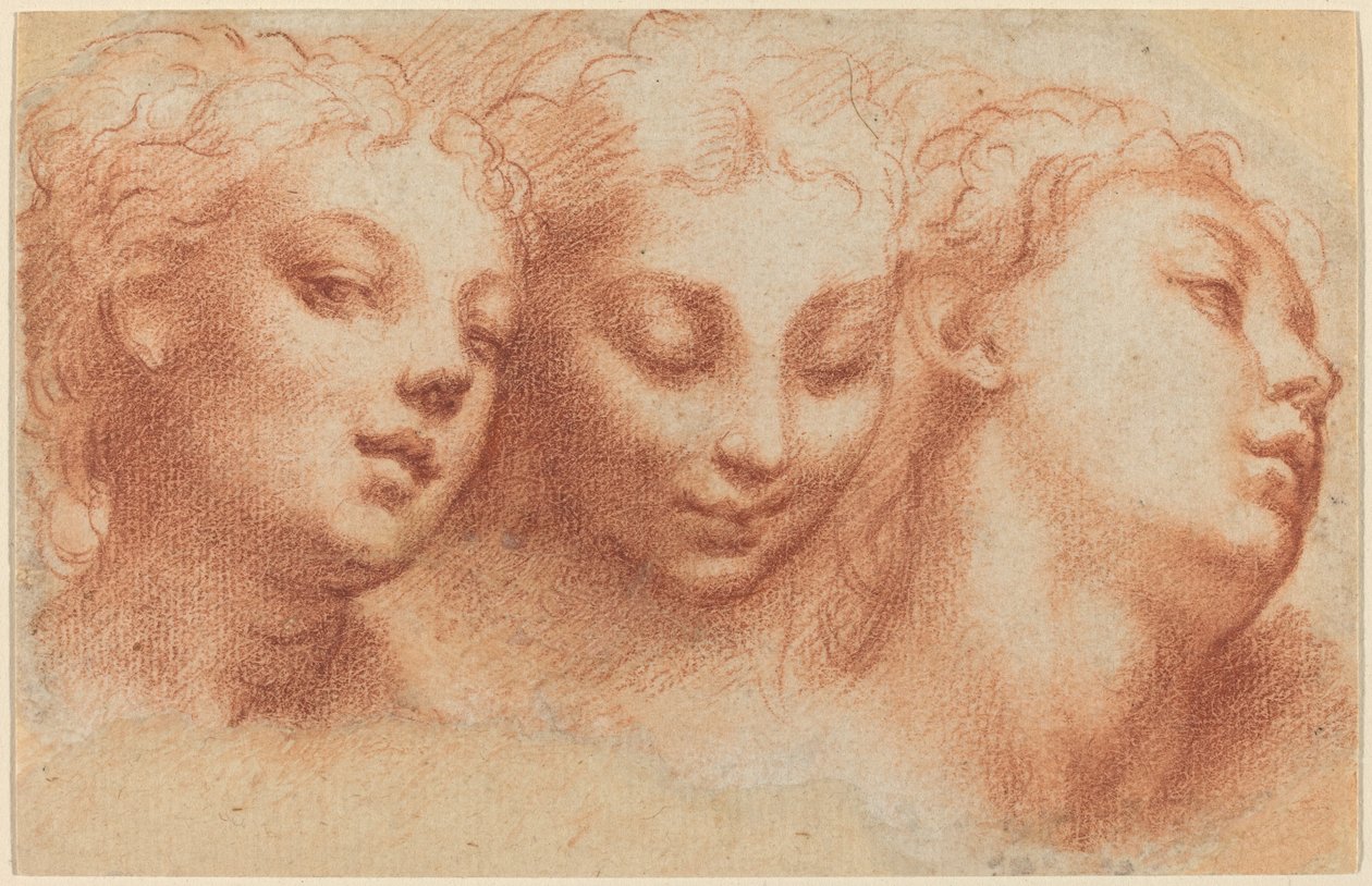 Trois têtes féminines - Parmigianino