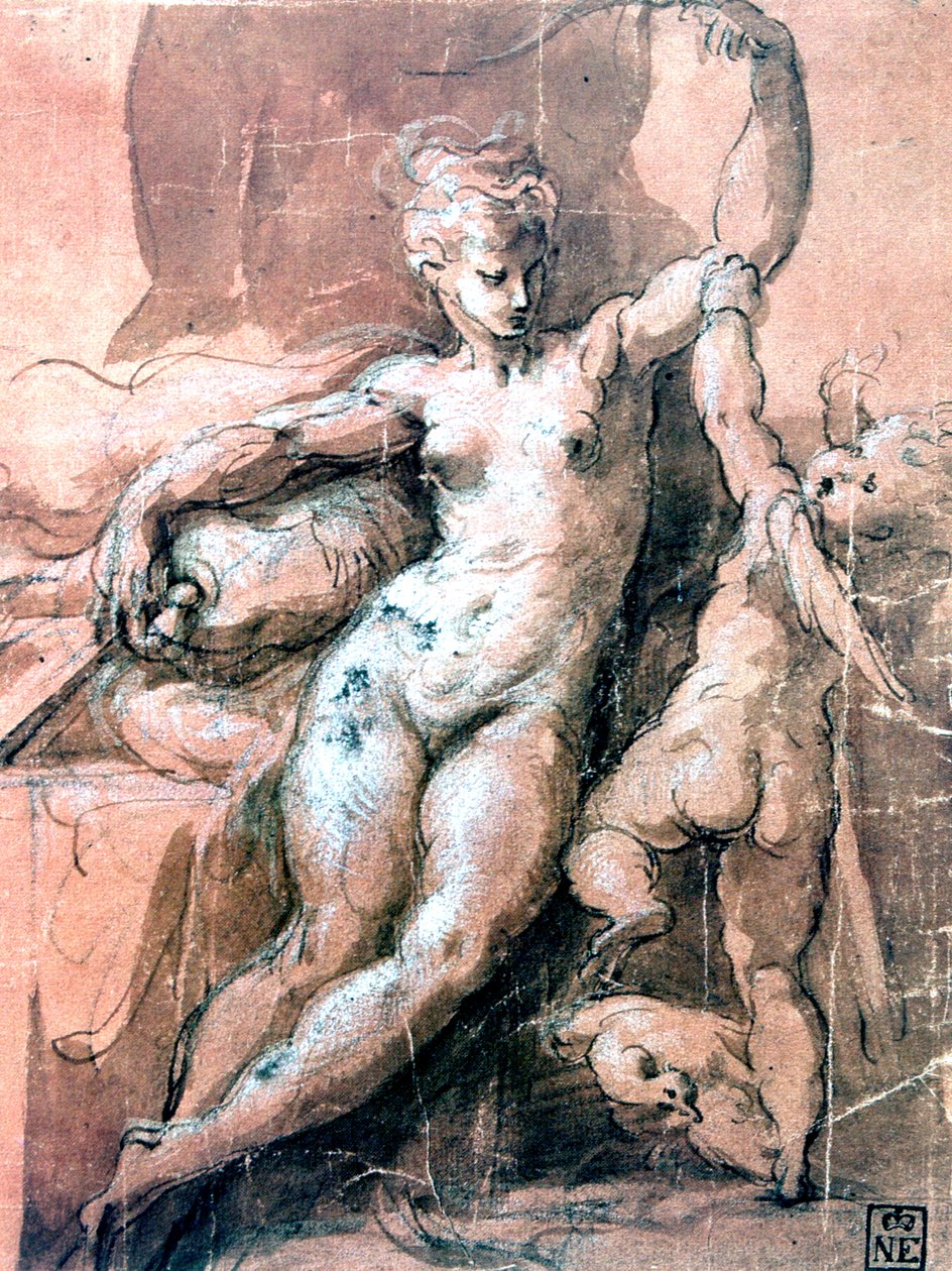 Vénus et l