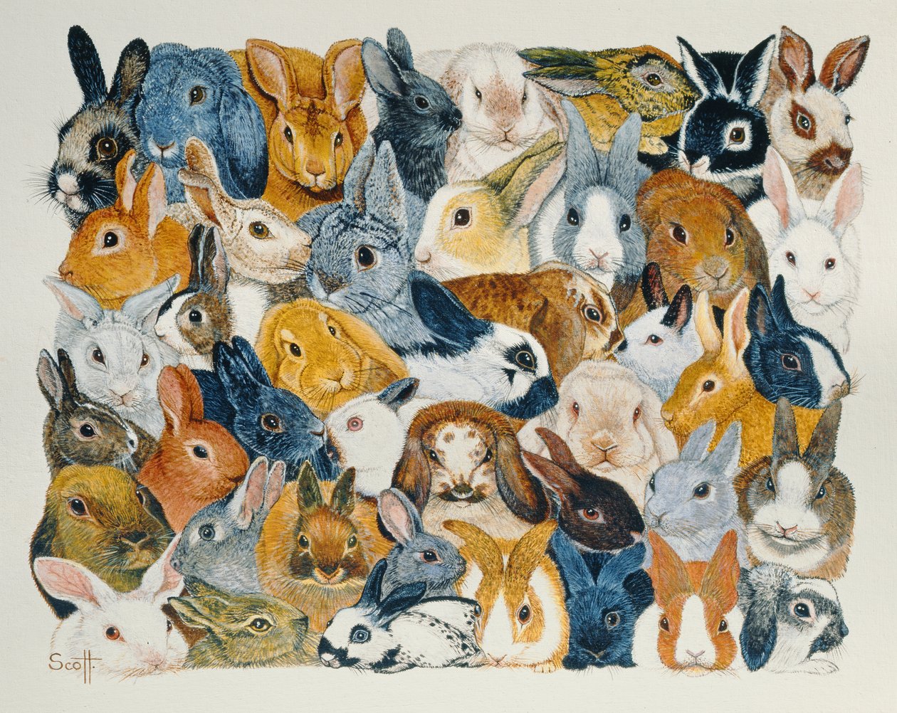 Bright Eyes (acrylique sur calicot) - Pat Scott