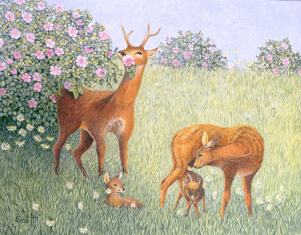 Famille de cerfs (huile sur toile) - Pat Scott
