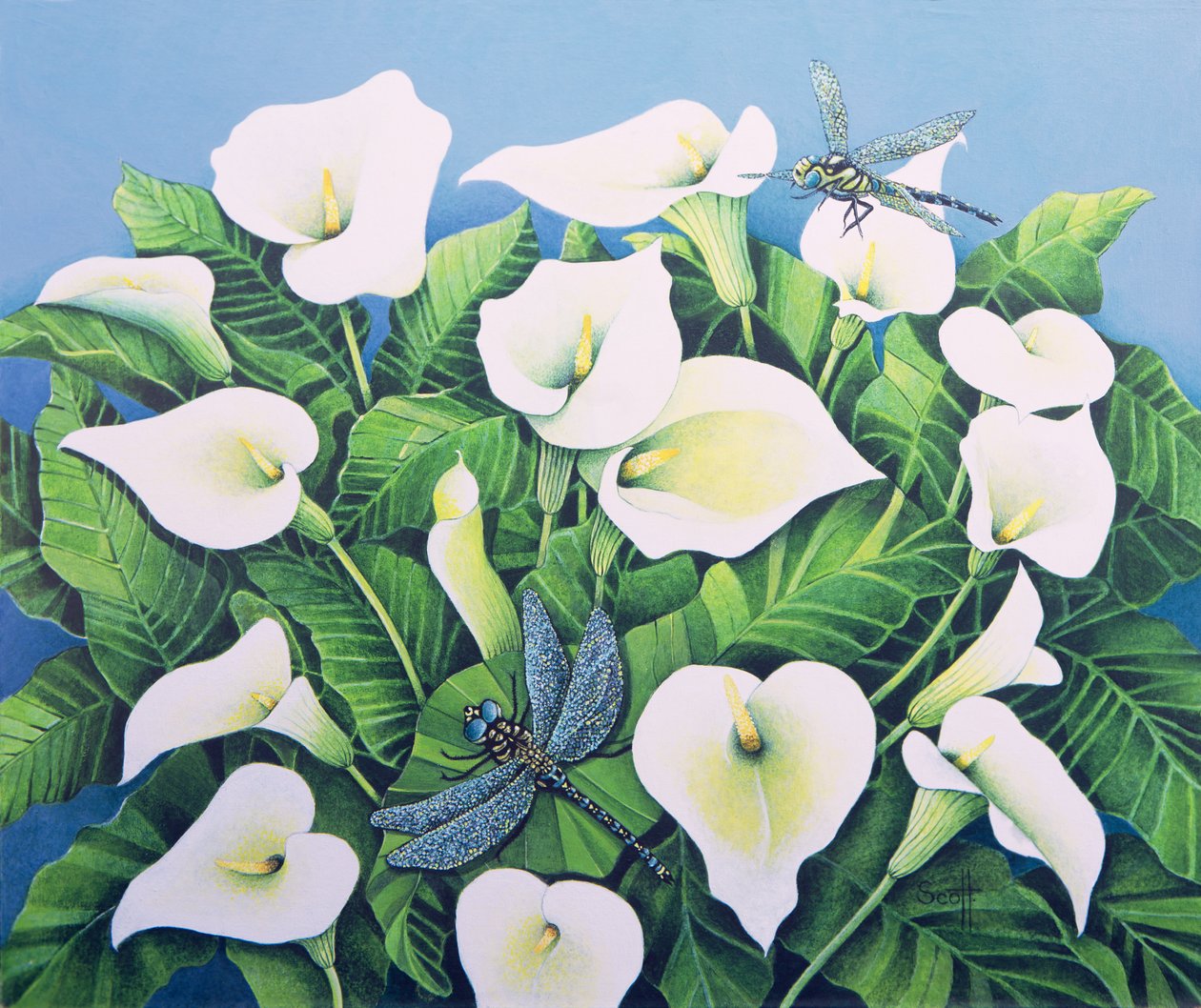 Libellules (huile sur toile) - Pat Scott