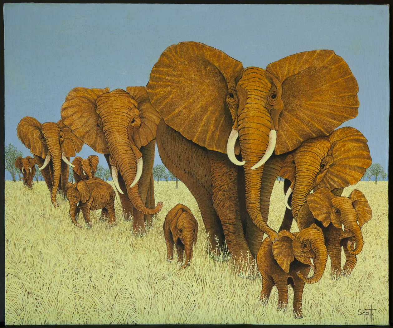 Enorme mais attentionné - Pat Scott