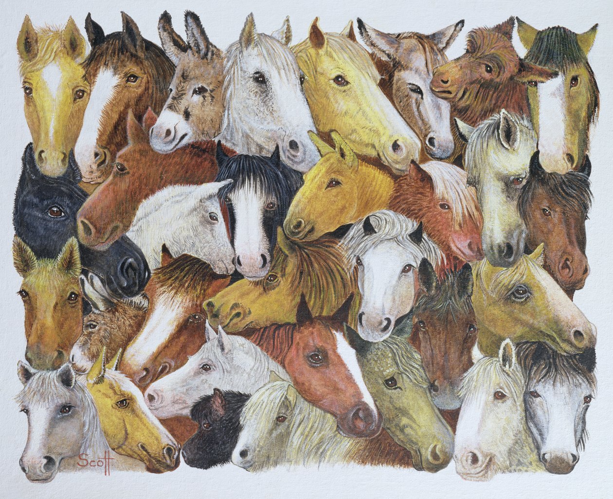 Chevaux Chevaux (huile sur toile) - Pat Scott