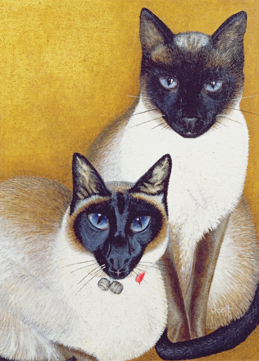 Mavis et Barnaby - Pat Scott