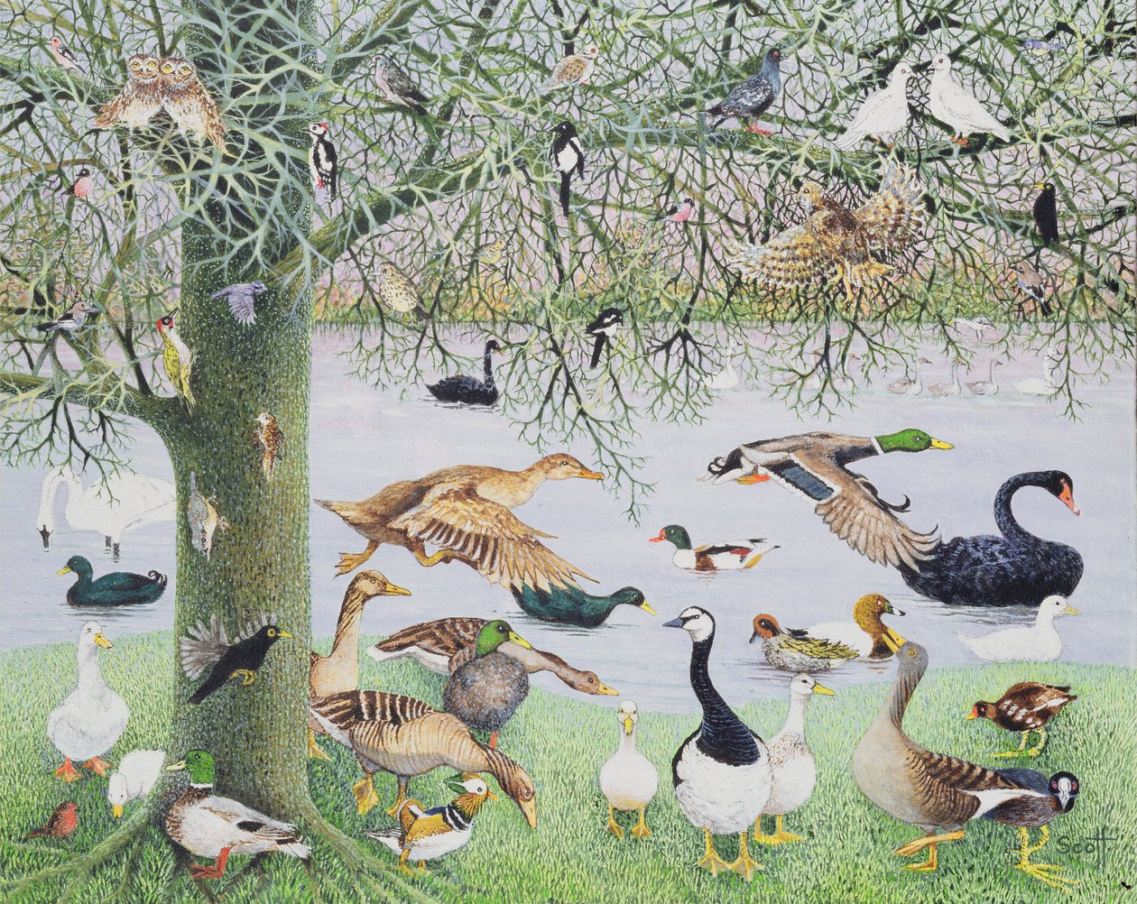 Le canard bizarre (acrylique sur toile) - Pat Scott