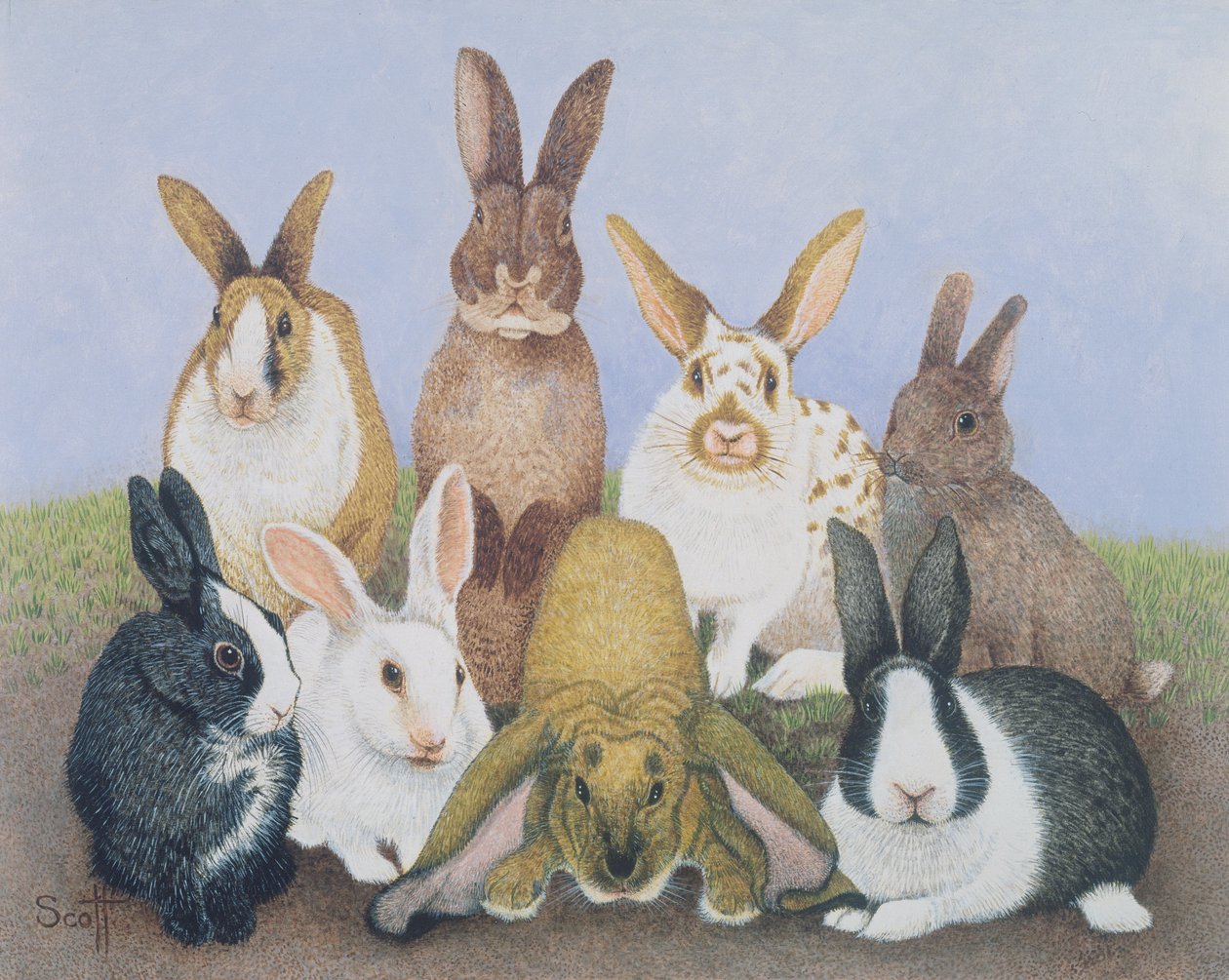 We are All Ears (huile sur carton) - Pat Scott
