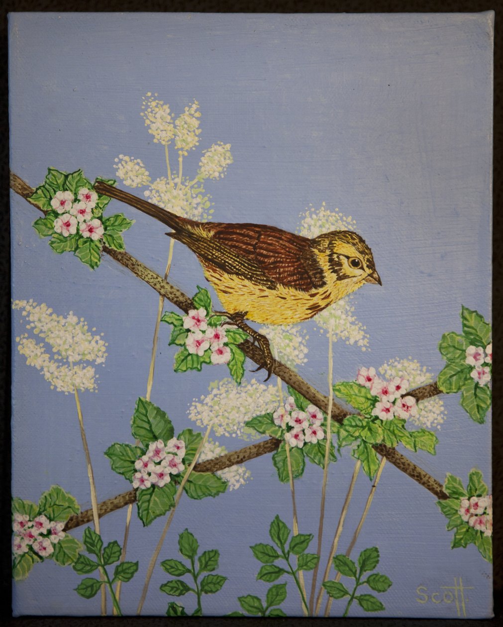 Marteau jaune, 2016 - Pat Scott