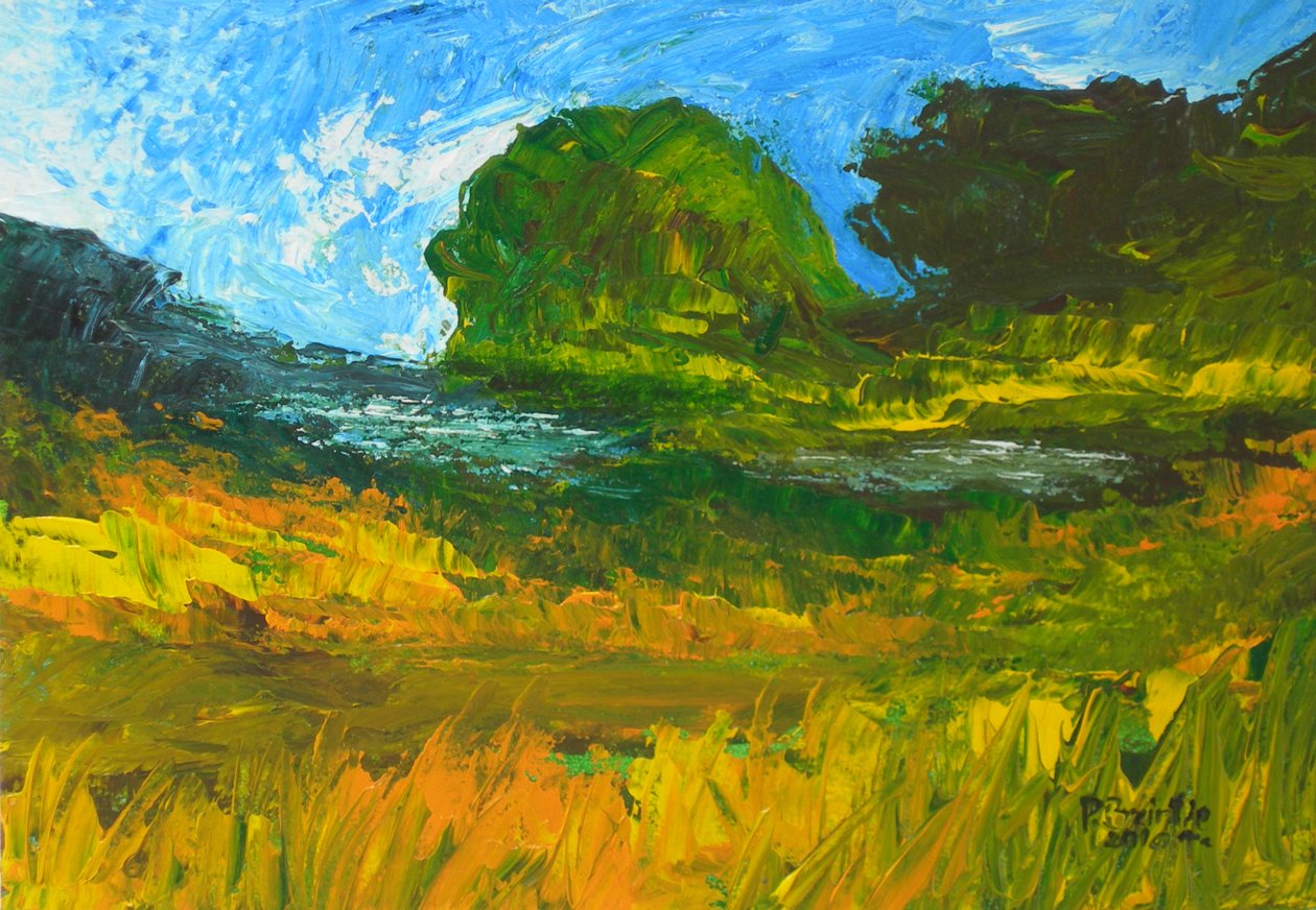 Rivière de Bainet, 2010 - Patricia Brintle