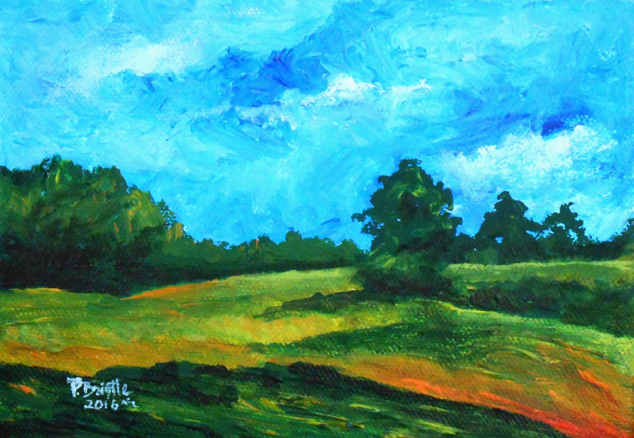 Environs simples, 2016 - Patricia Brintle