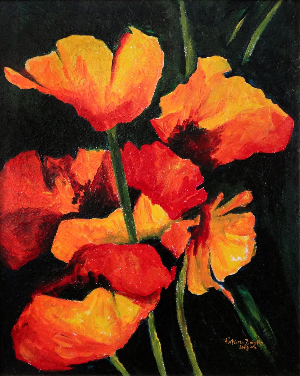 Coquelicots animés, 2008 - Patricia Brintle