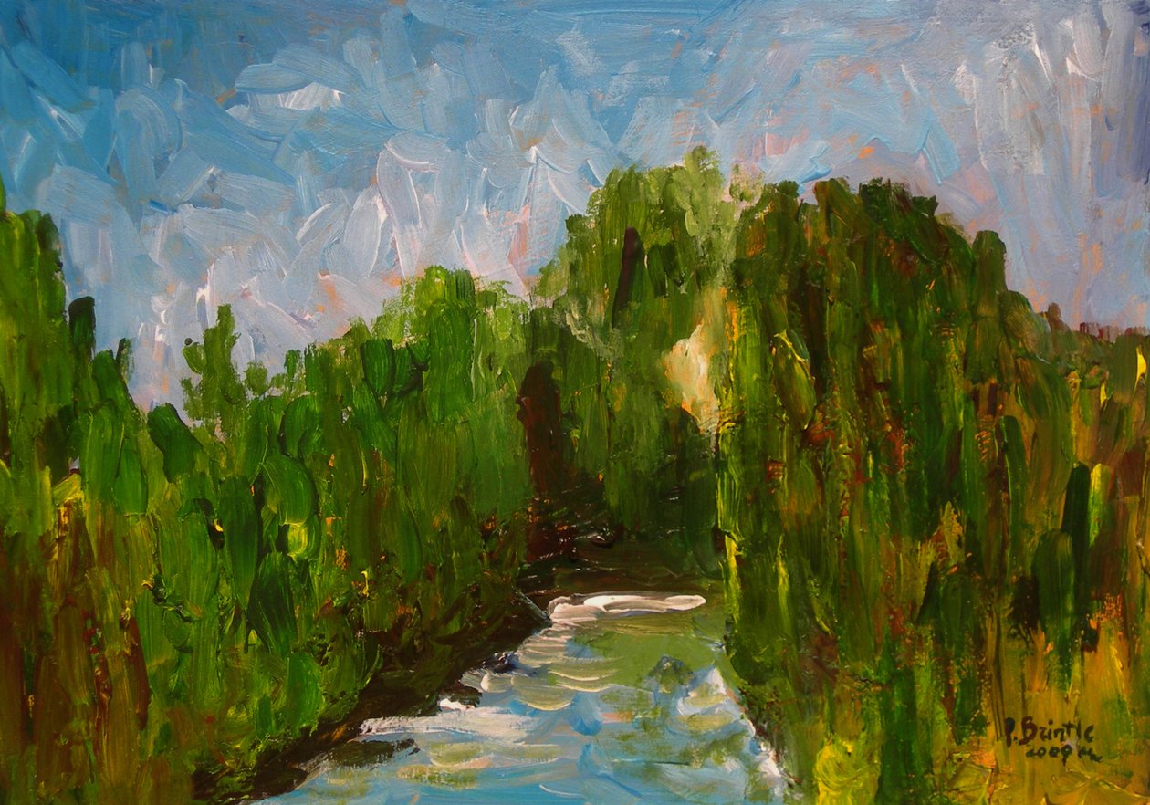 Rivière sinueuse, 2009 - Patricia Brintle