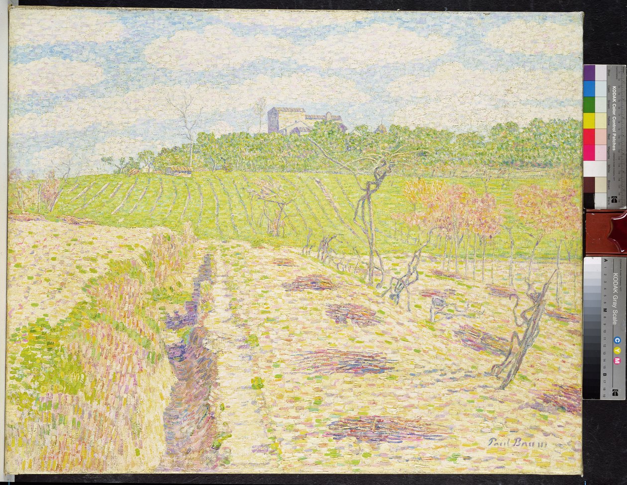 Un vignoble toscan - Paul Baum