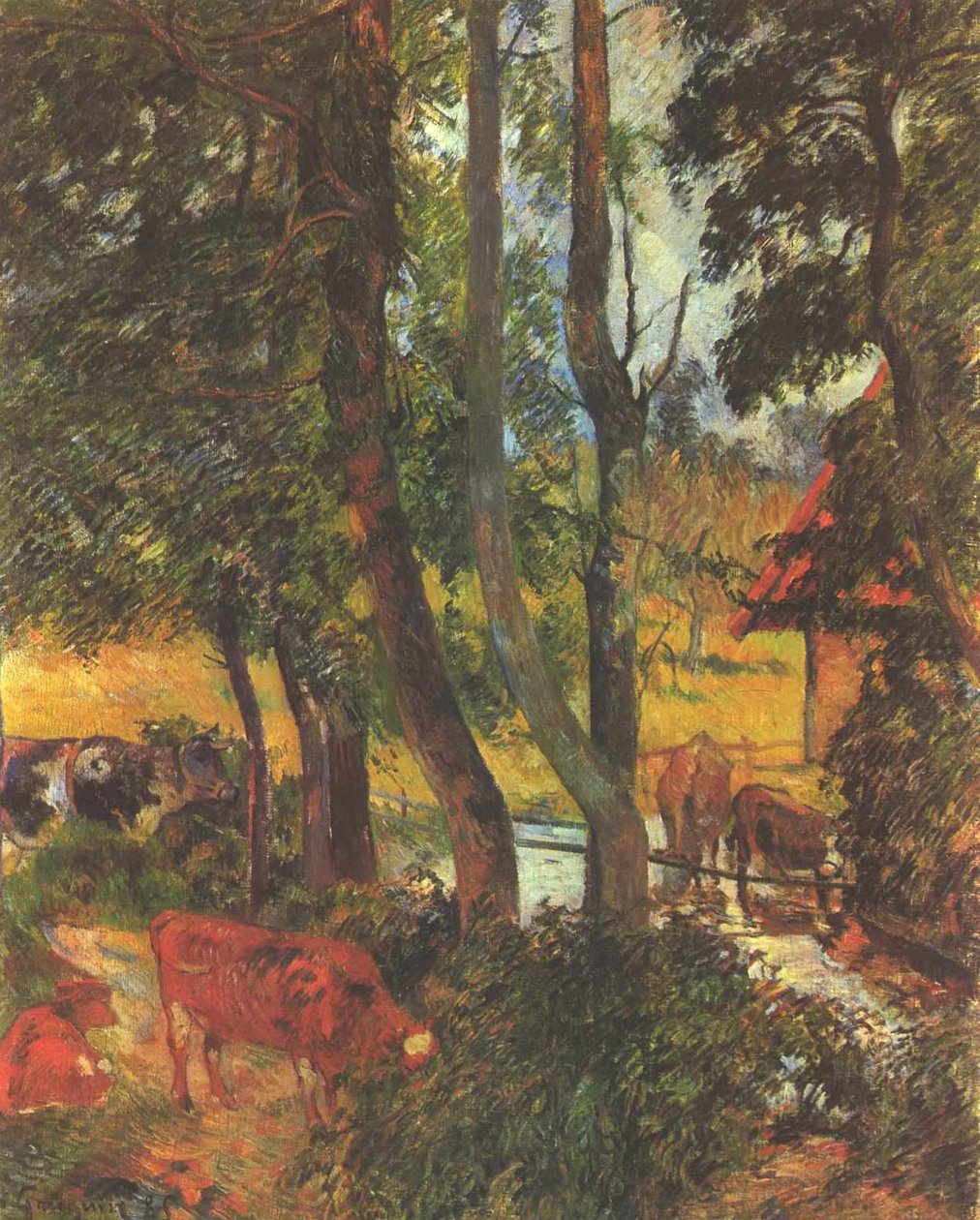 Vaches à l