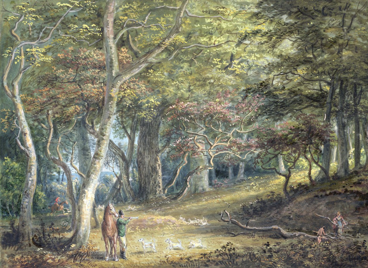 Une scène dans la forêt de Windsor - Paul Sandby