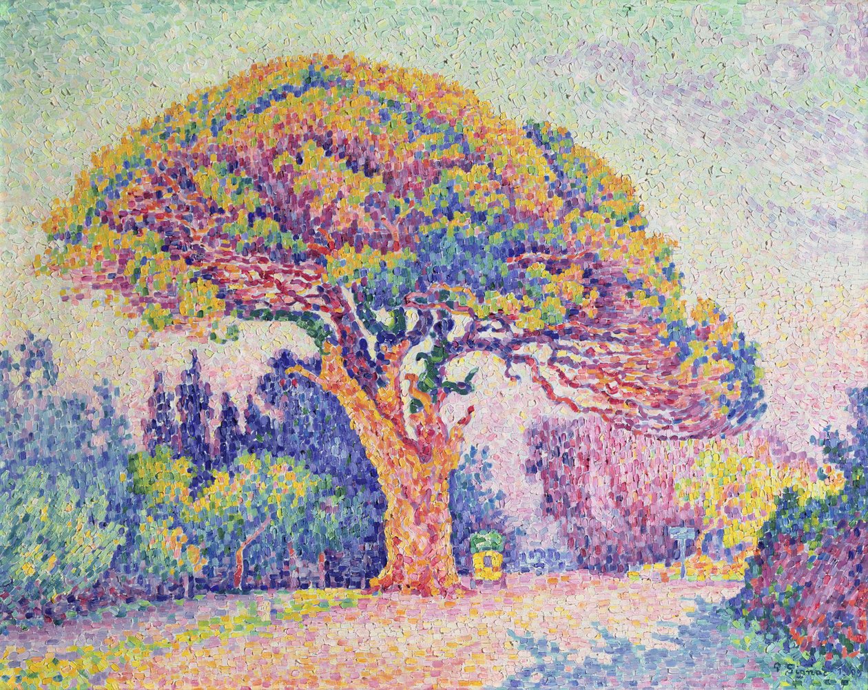 Le Pin à Saint-Tropez, 1909 - Paul Signac