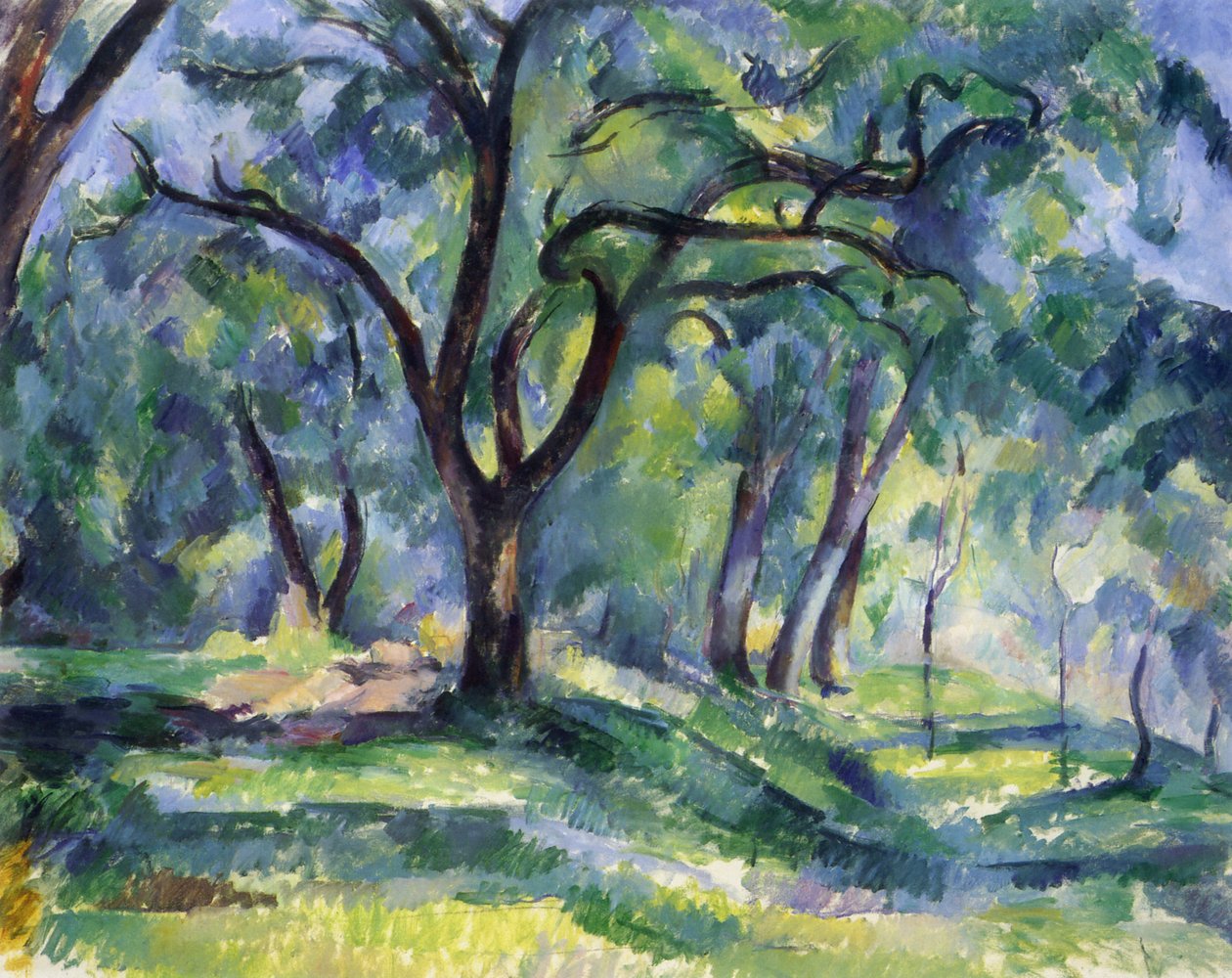 La Forêt - Paul Cézanne