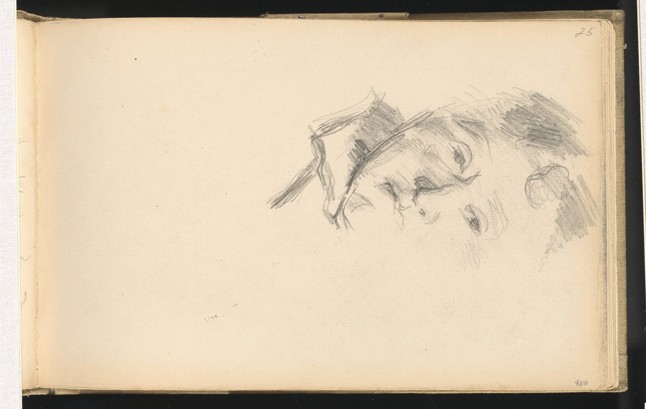 Madame Cézanne - Paul Cézanne