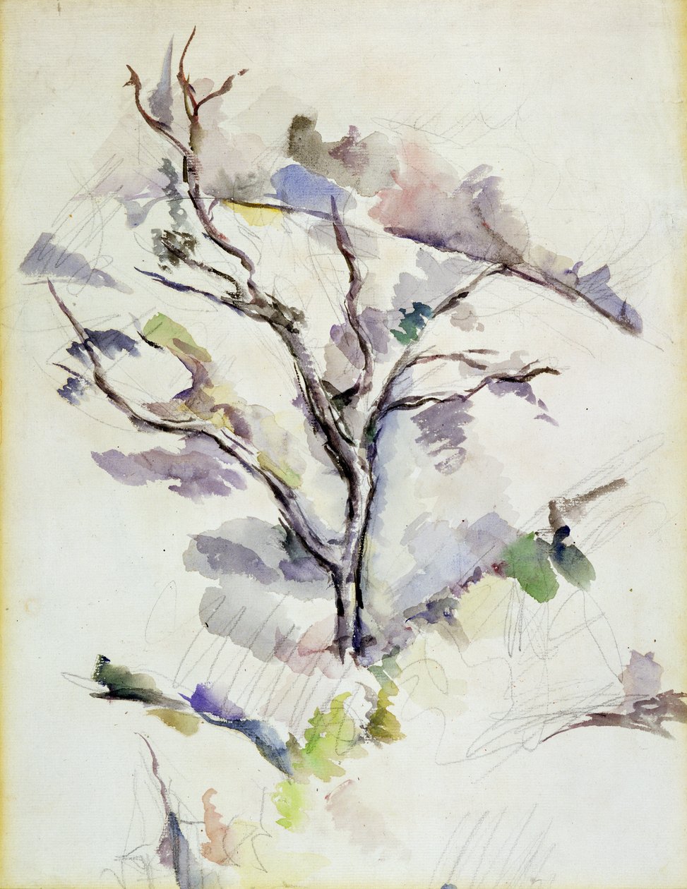 Le Chêne - Paul Cézanne