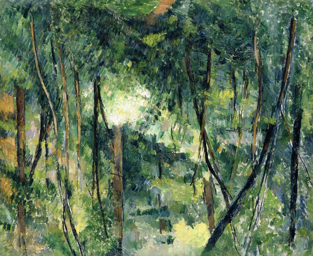 Sous-bois, vers 1885 - Paul Cézanne