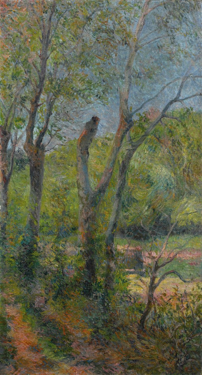 Français :  Les Saules Willows - Paul Gauguin
