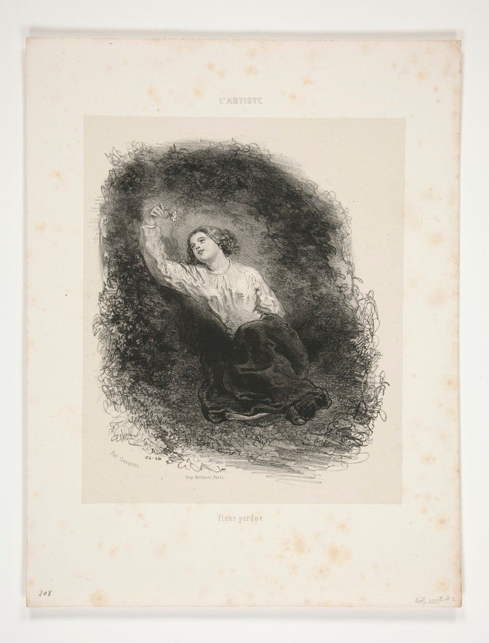 Fleur Perdue - Paul Gavarni