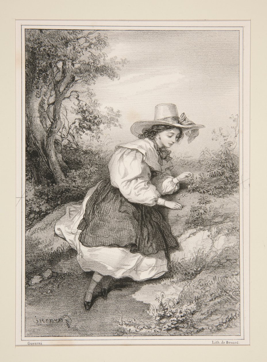 Les Deux Pâquerettes. - Paul Gavarni