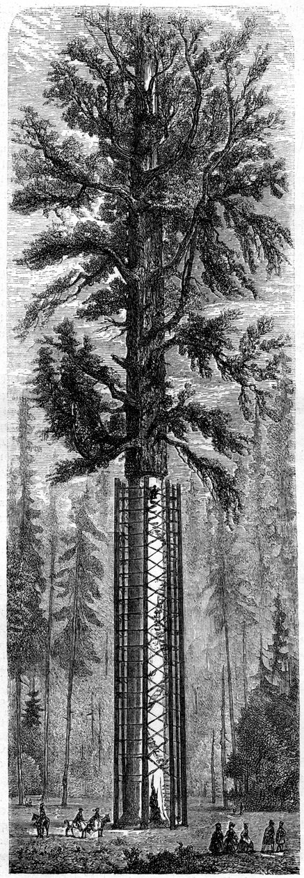 Parc national de Yosemite, Californie, 19e siècle - Paul Huet