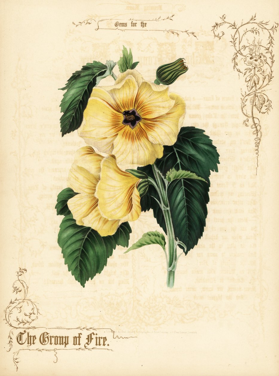 Fleurs et feuillage d