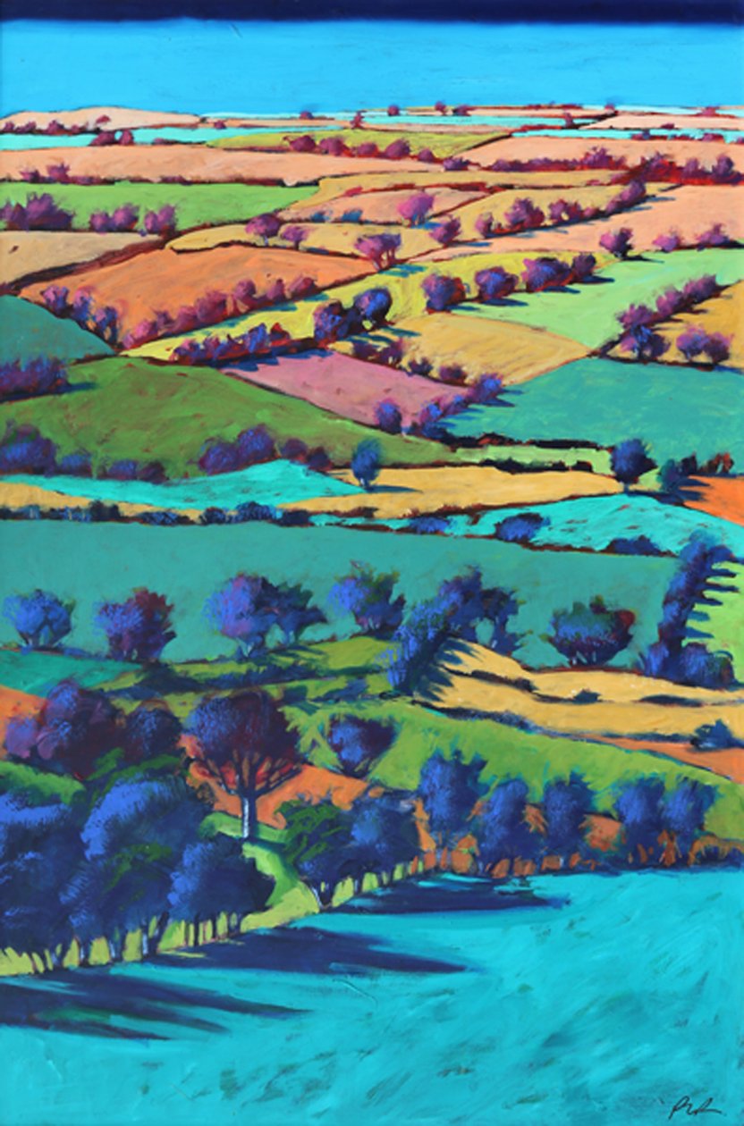 Vallée de Teme été I - Paul Powis