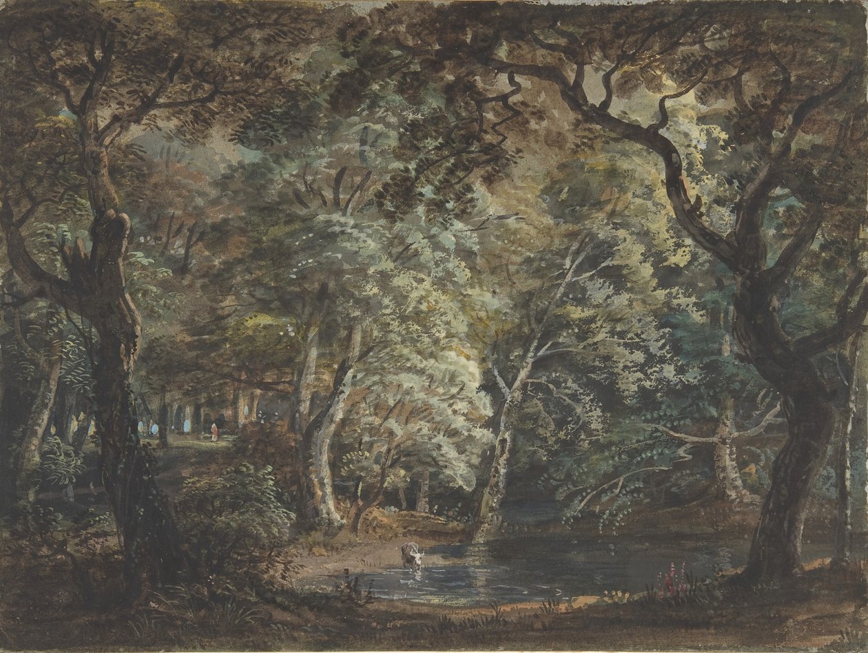 Windsor Great Park, 1790-99 - Paul Sandby