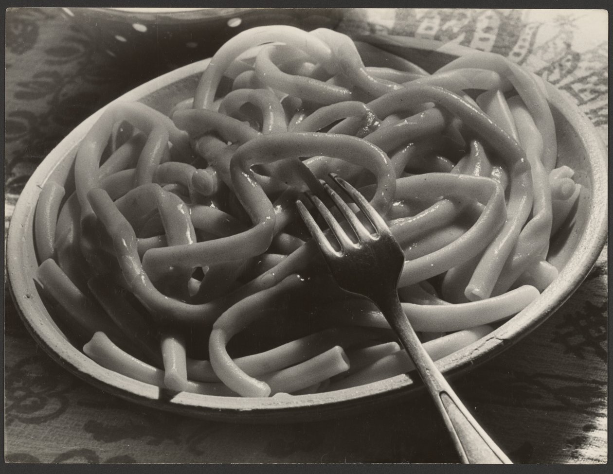Assiette de nouilles avec fourchette - Paul Wolff