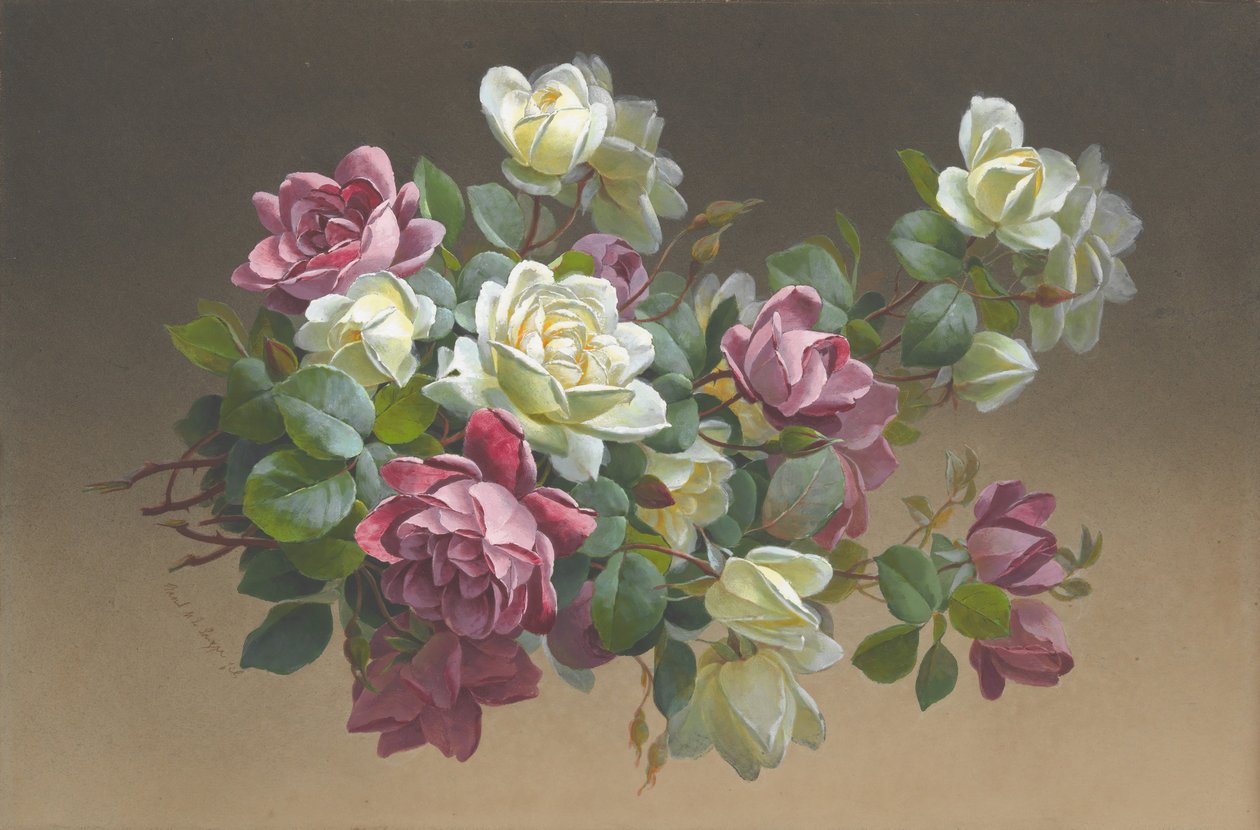 Fleurs : Roses, fin 19ème-début 20ème siècle - Paul de Longpré