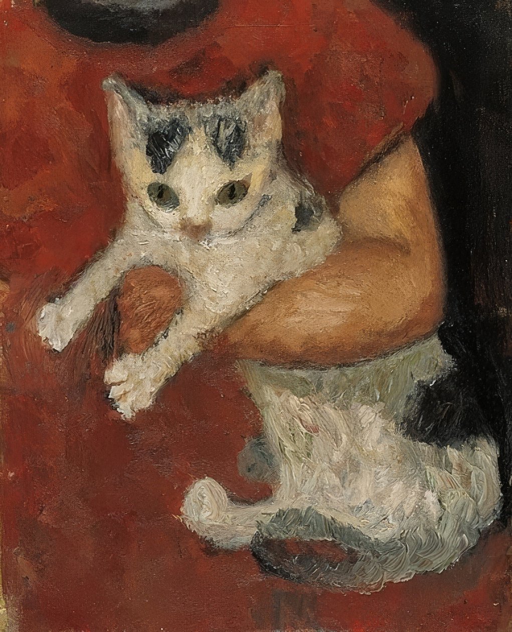 Chat dans les bras d