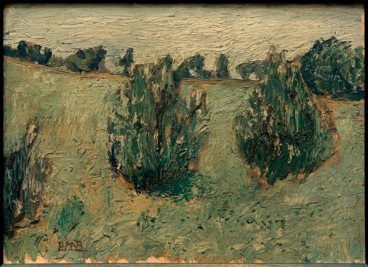 Paysage avec pins - Paula Modersohn Becker
