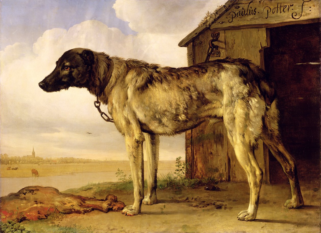 Chien enchaîné, 1653-4 - Paulus Potter