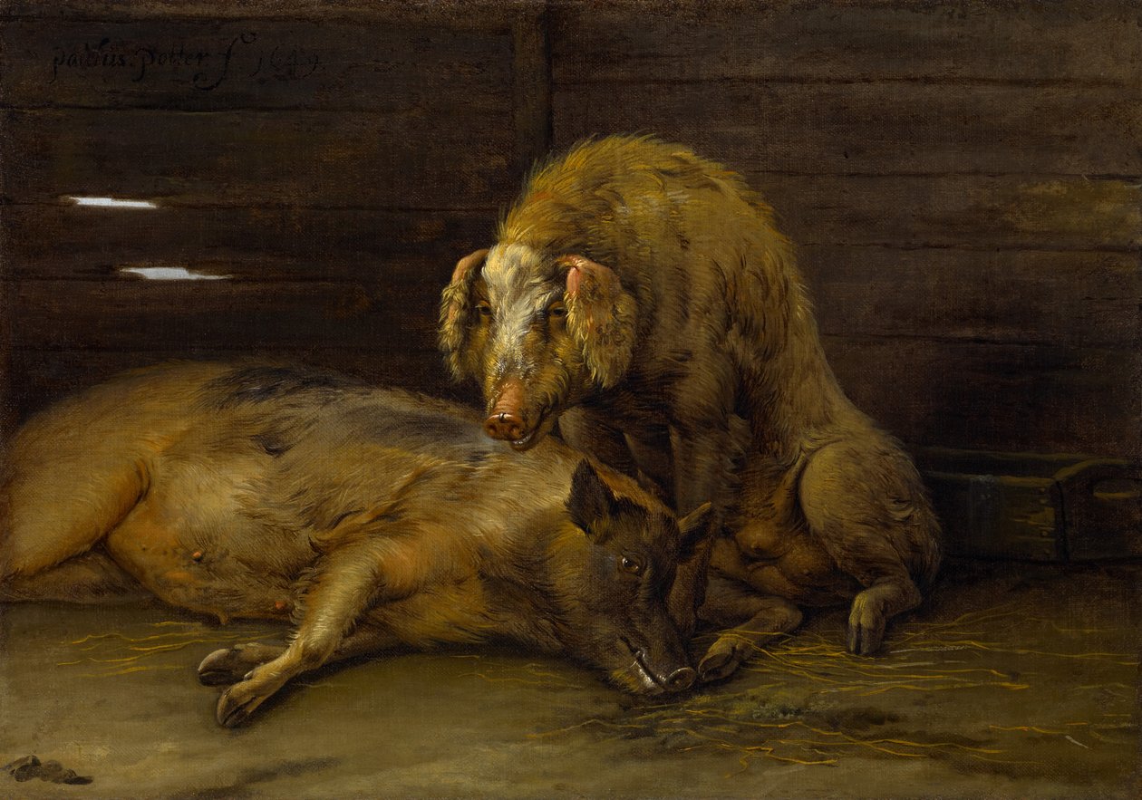 Deux cochons dans une porcherie - Paulus Potter