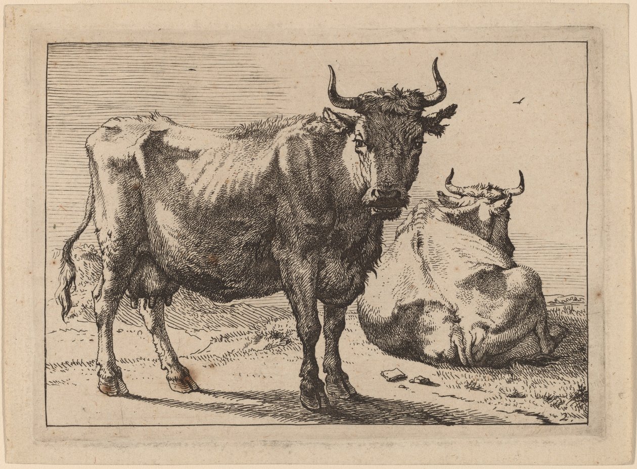 Une vache debout et une autre couchée - Paulus Potter