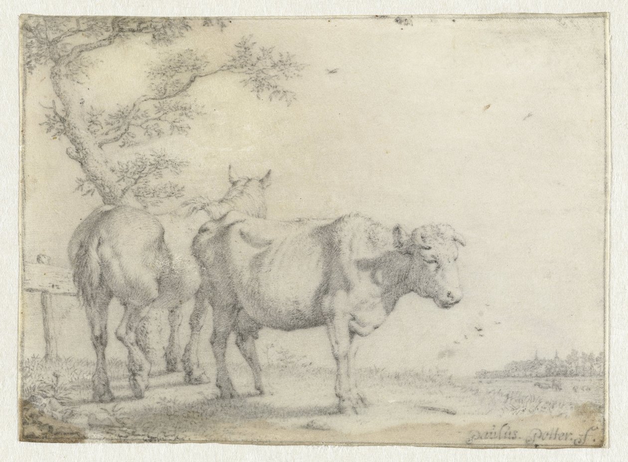 Cheval et une vache près d