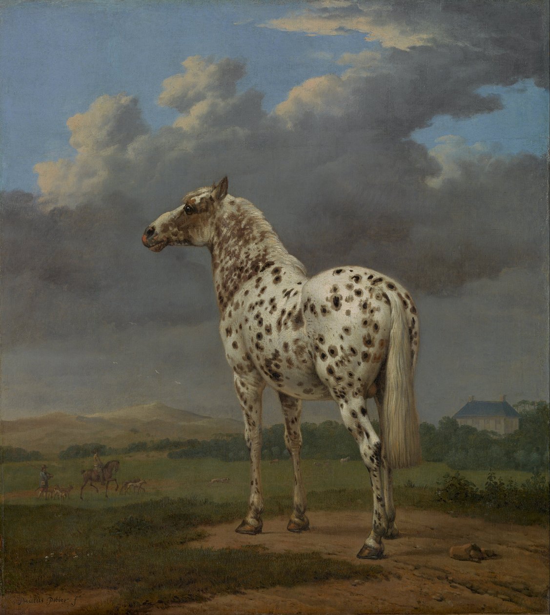 Cheval pie, vers 1654 - Paulus Potter