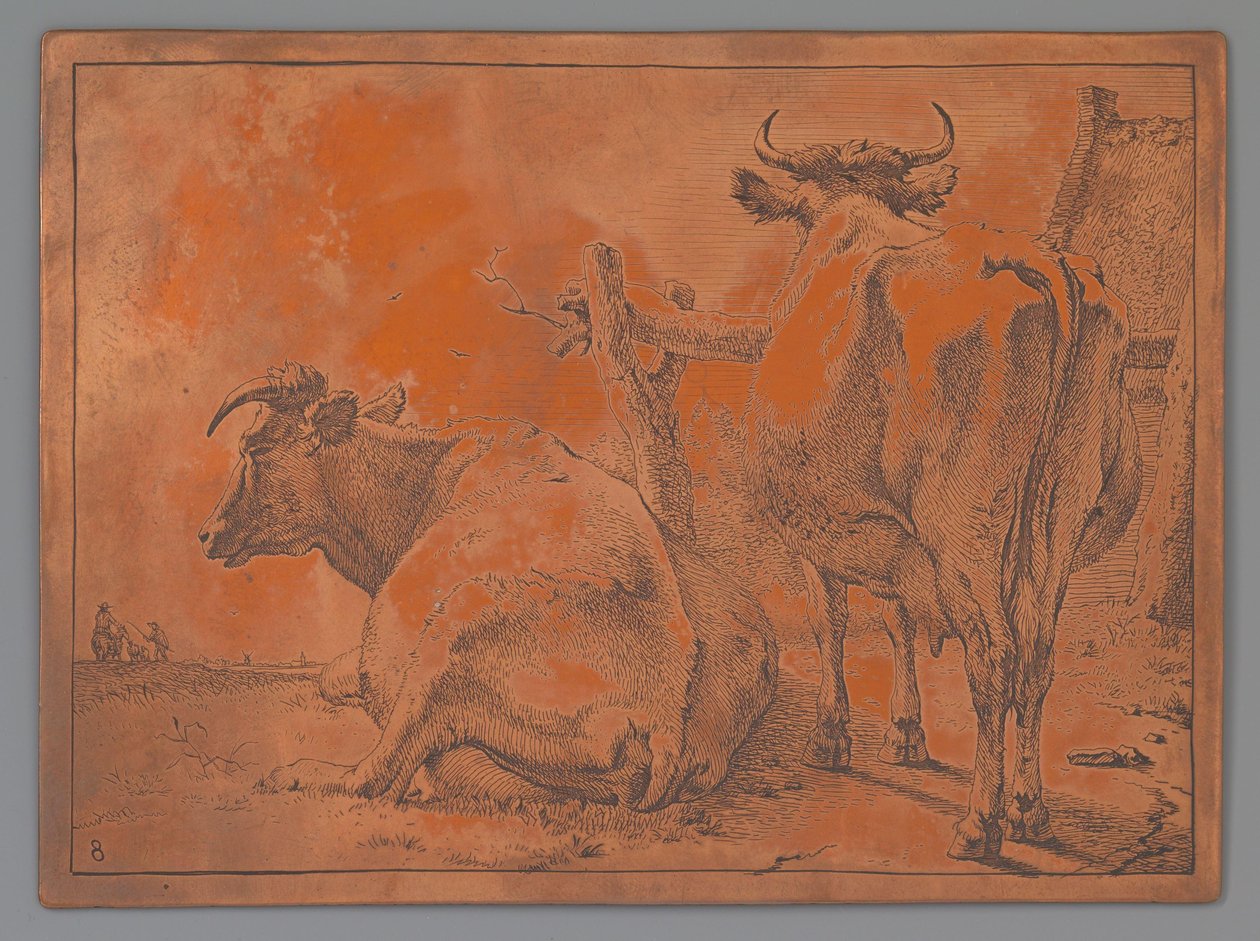 Vache debout et couchée, vue de dos - Paulus Potter