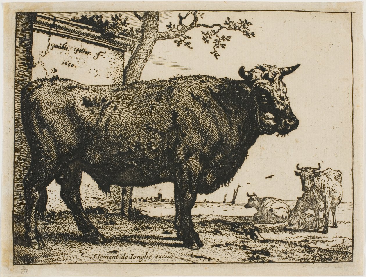 Le Taureau - Paulus Potter