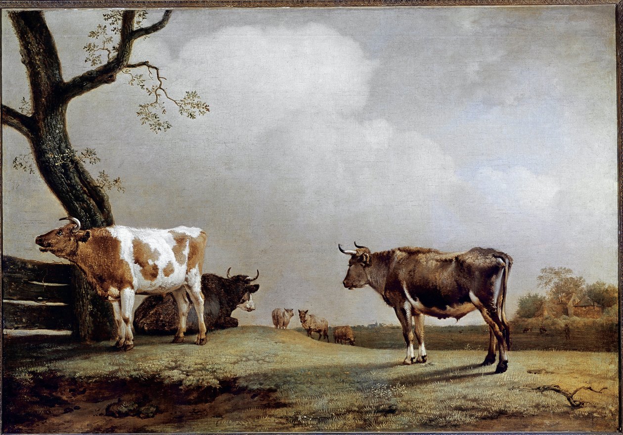 Le Pré - Paulus Potter