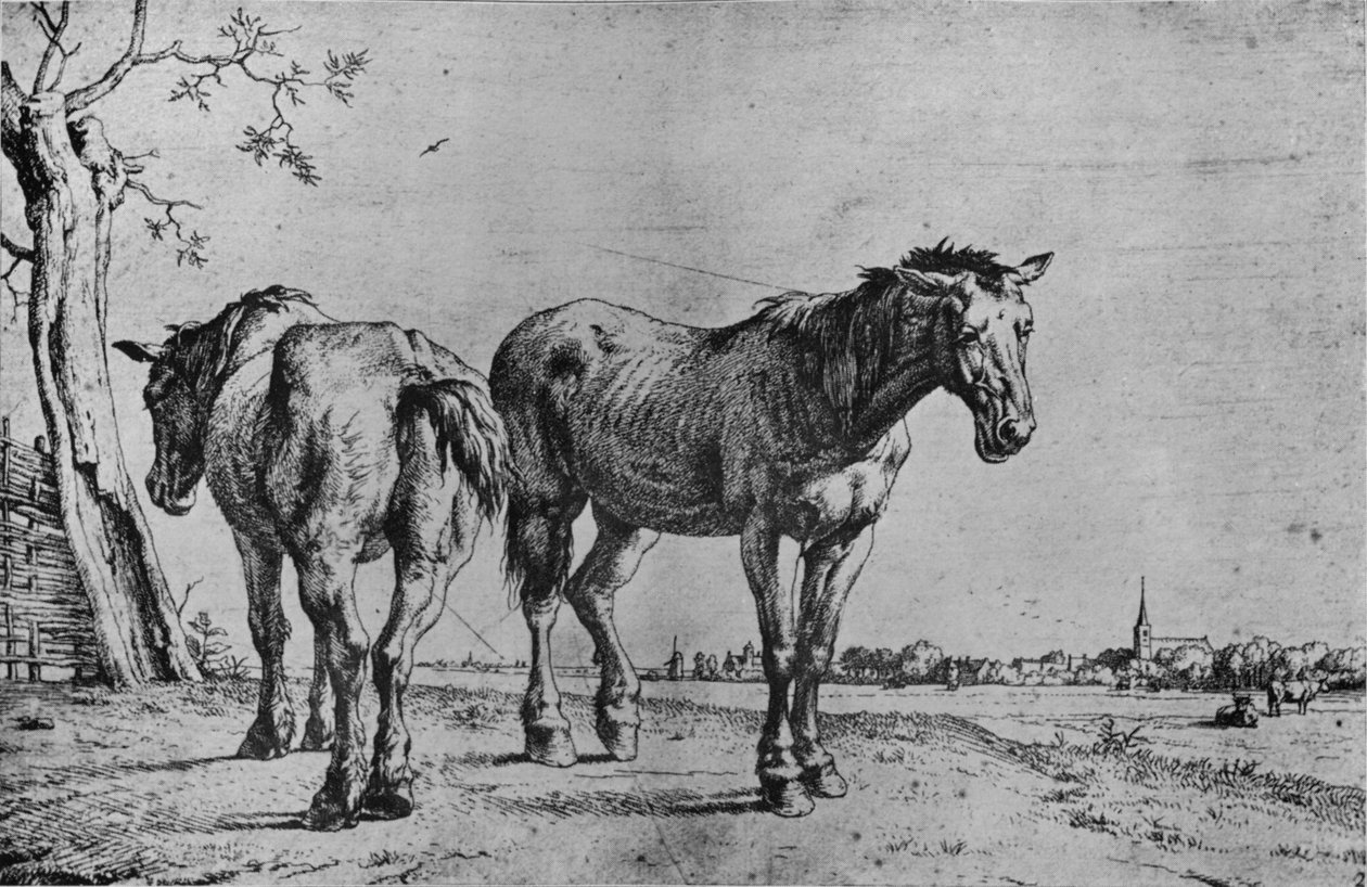 Les deux chevaux de labour, 1652 - Paulus Potter