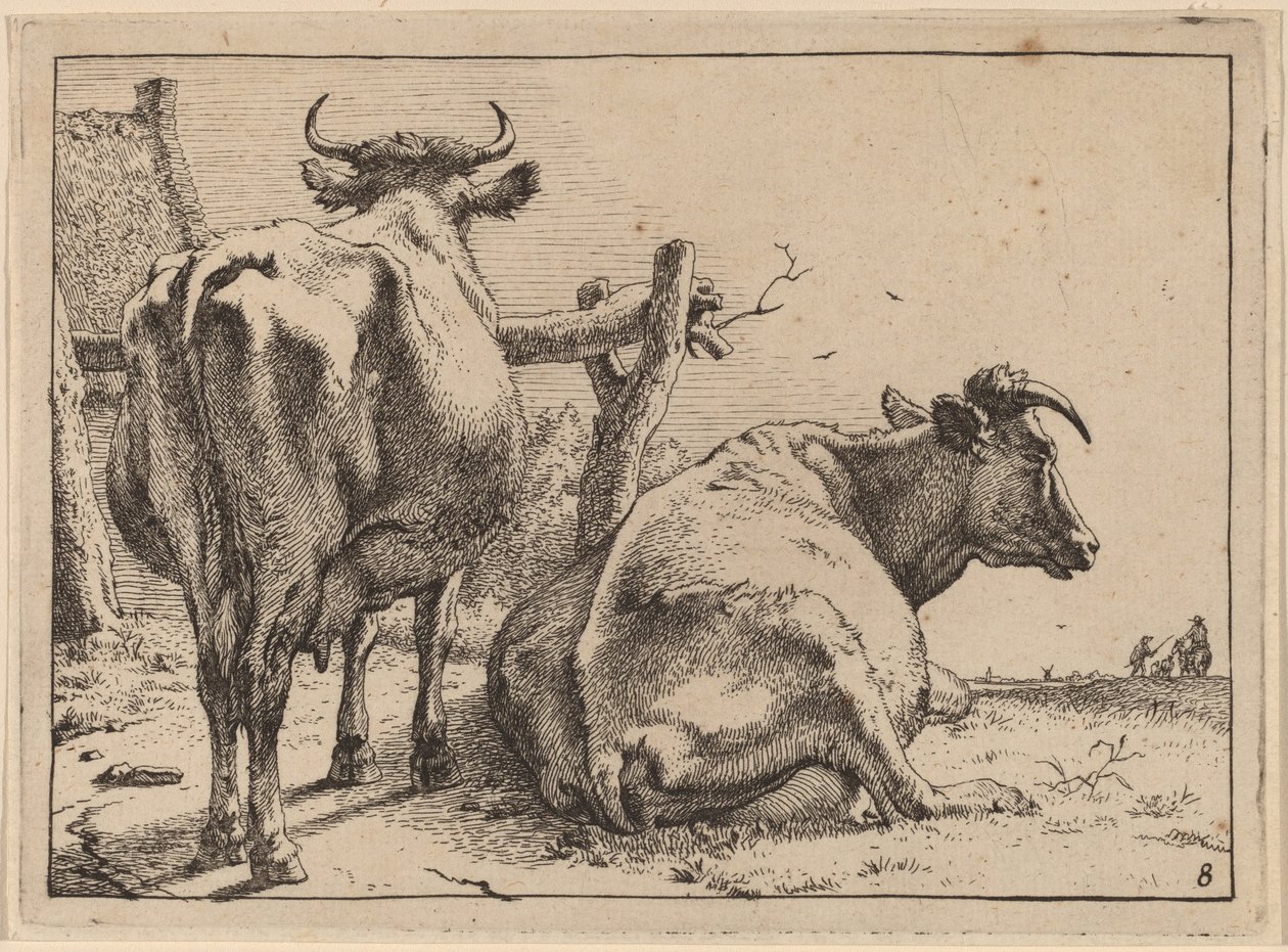 Deux vaches vues de dos - Paulus Potter