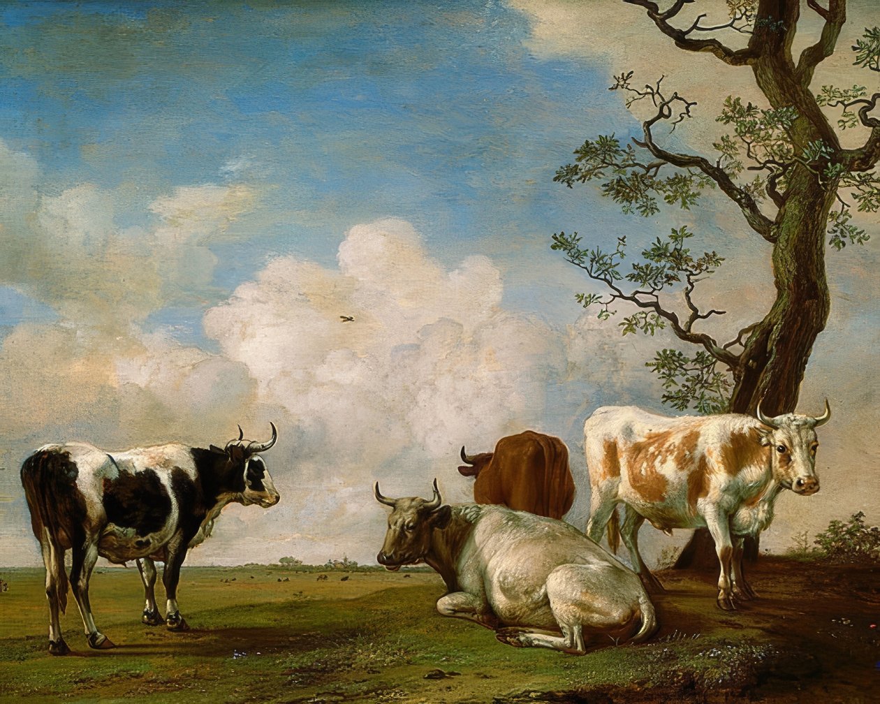 Quatre taureaux - Paulus Potter