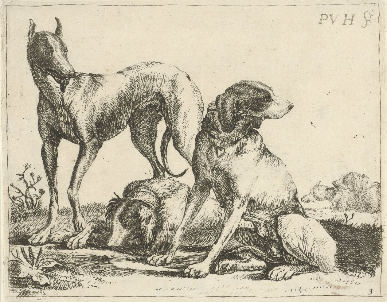 Trois chiens - Pauwels van Hillegaert