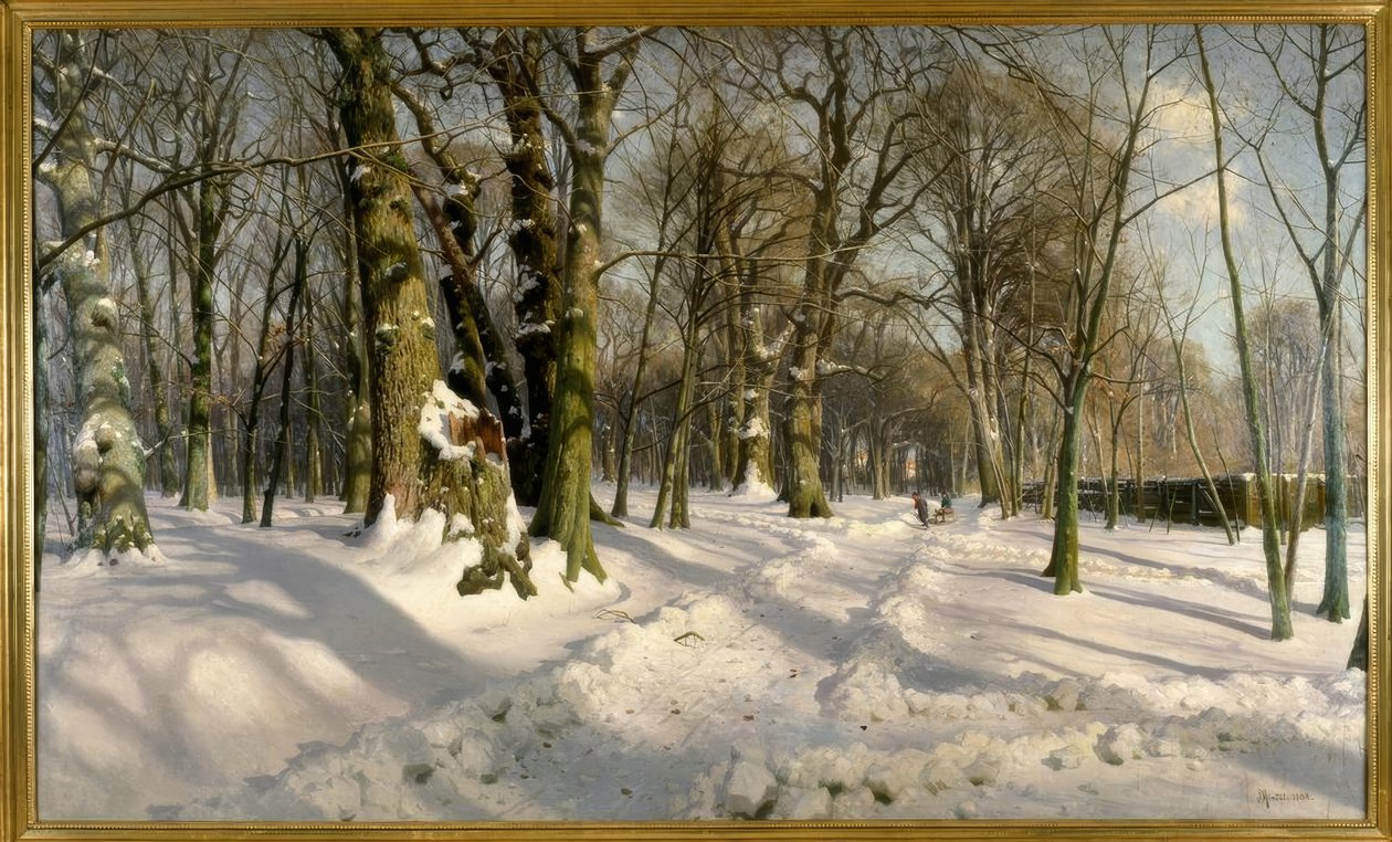 Forêt d