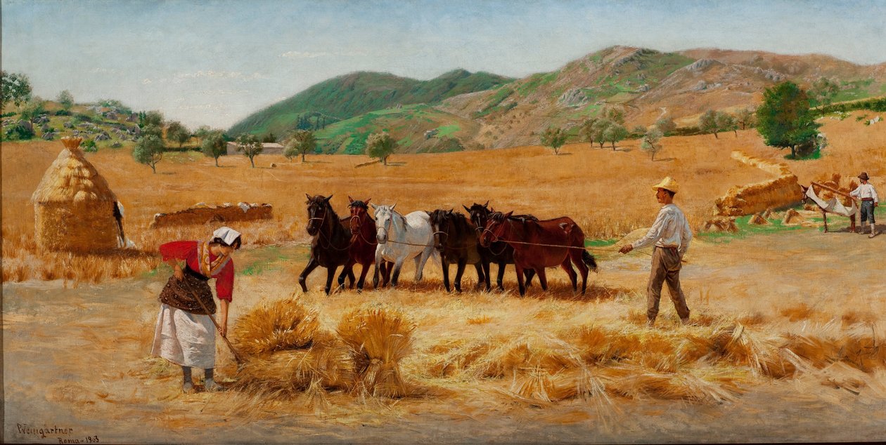 Récolte à Anticoli - Pedro Weingärtner