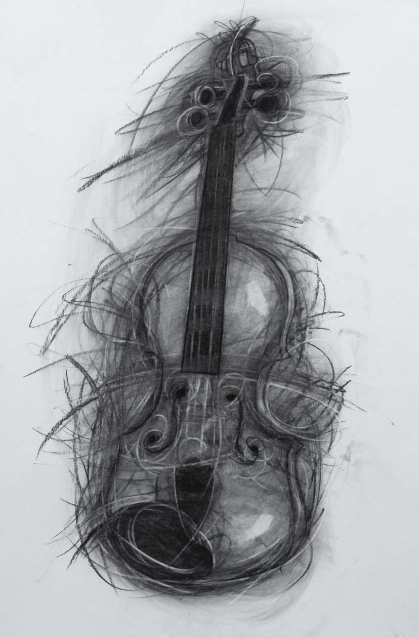 Violon - Penny Warden