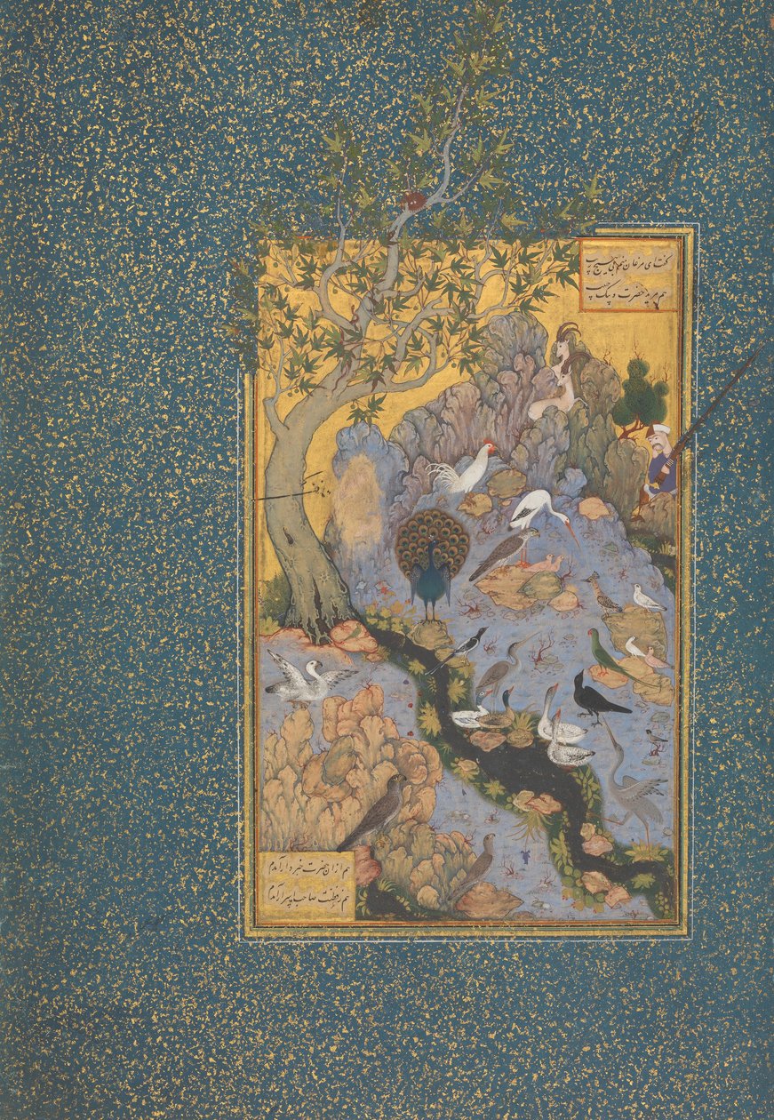 "La Concourse des oiseaux", vers 1600 - Persian School